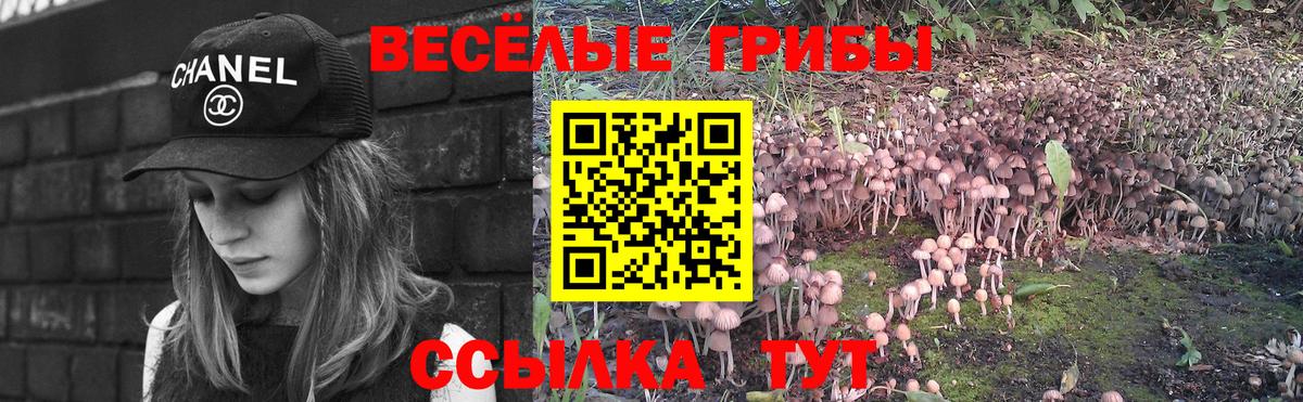 Псилоцибиновые грибы мицелий Артёмовский
