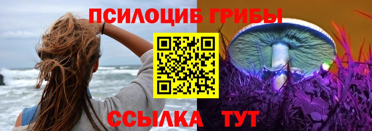 Псилоцибиновые грибы мицелий  Вход с VPN  Артёмовский 