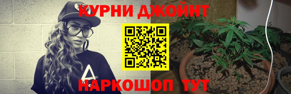 Шишки марихуана ГИДРОПОН Артёмовский